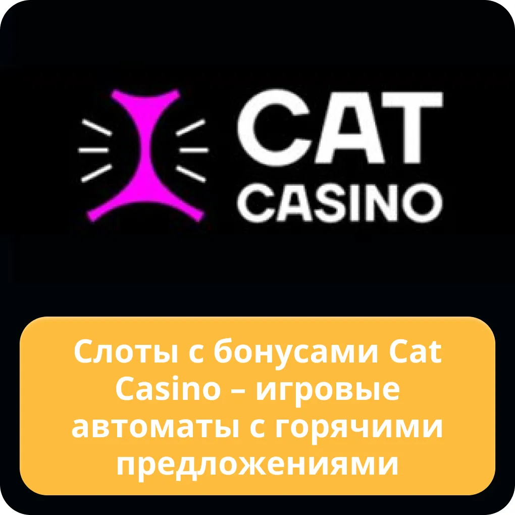 cat casino