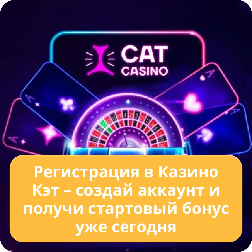 cat casino