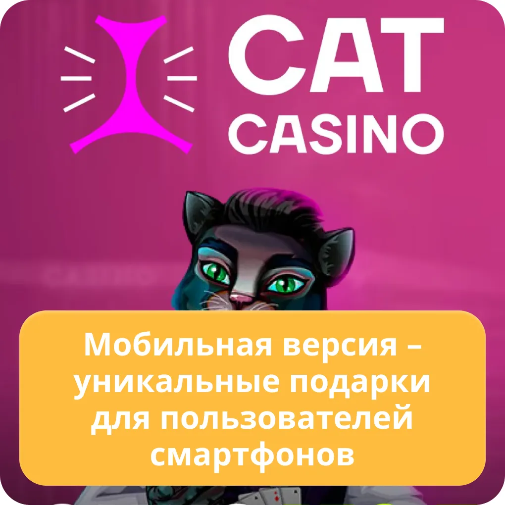 cat casino