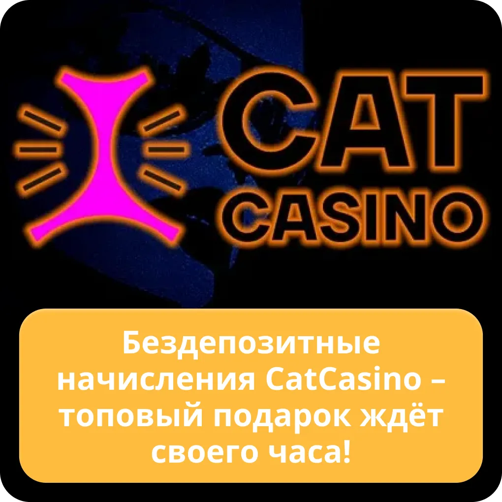 cat casino