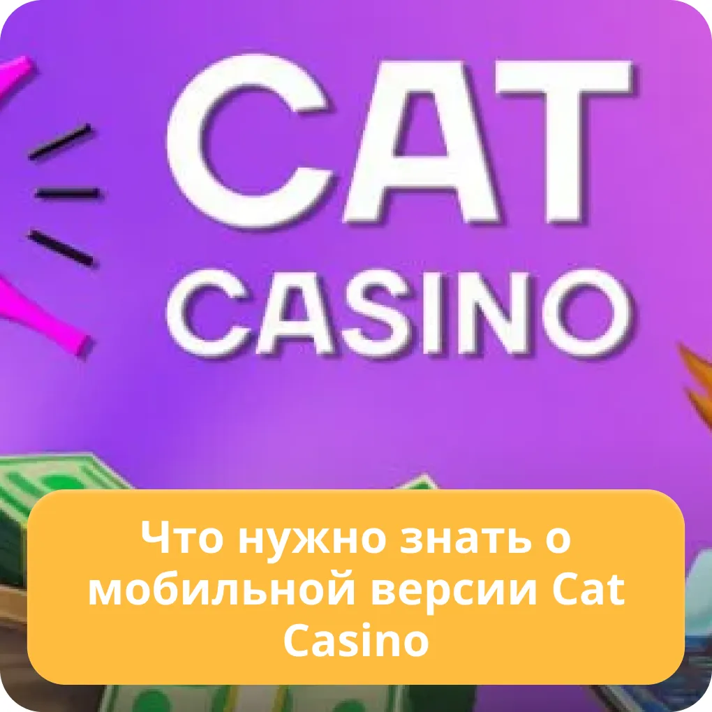 cat casino