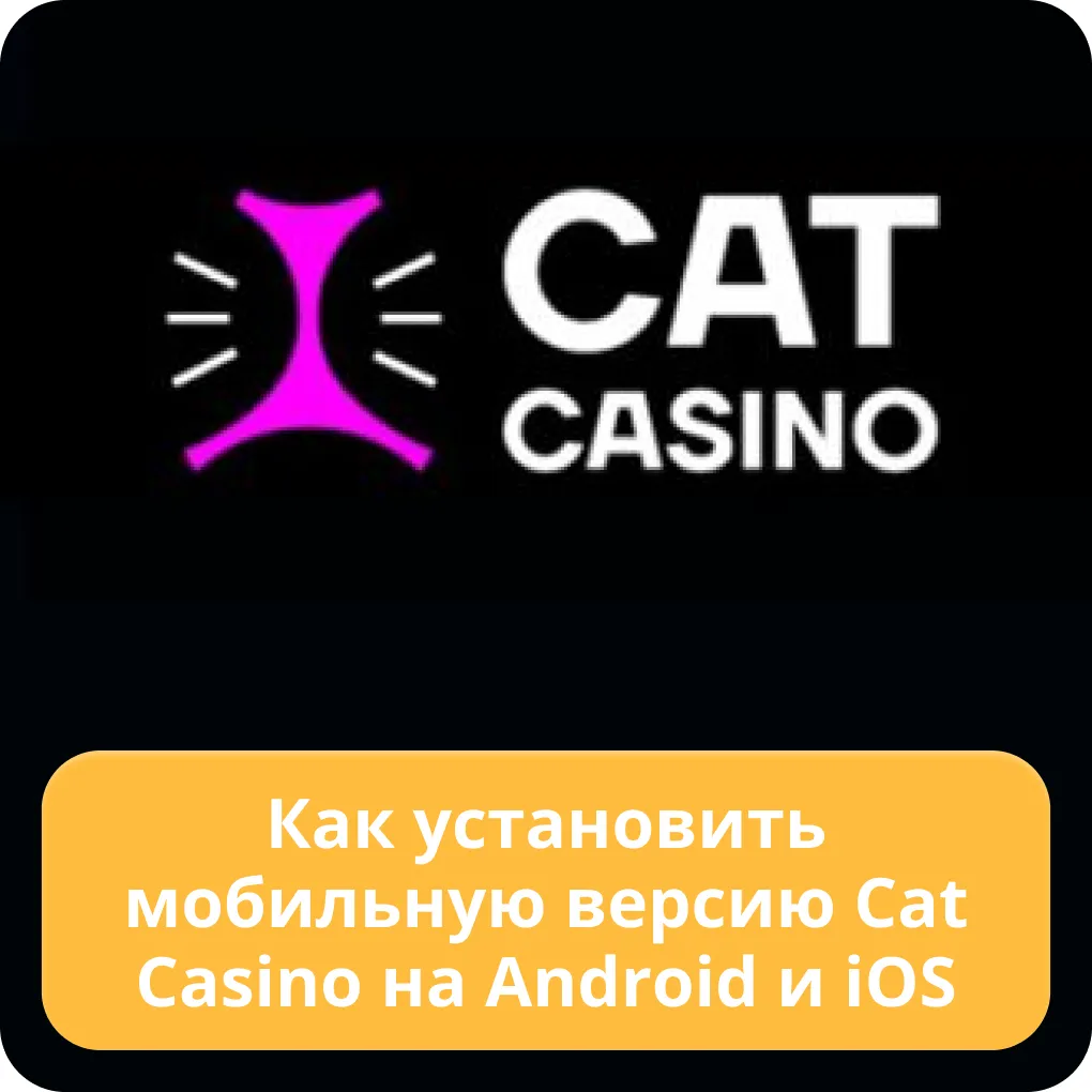 cat casino