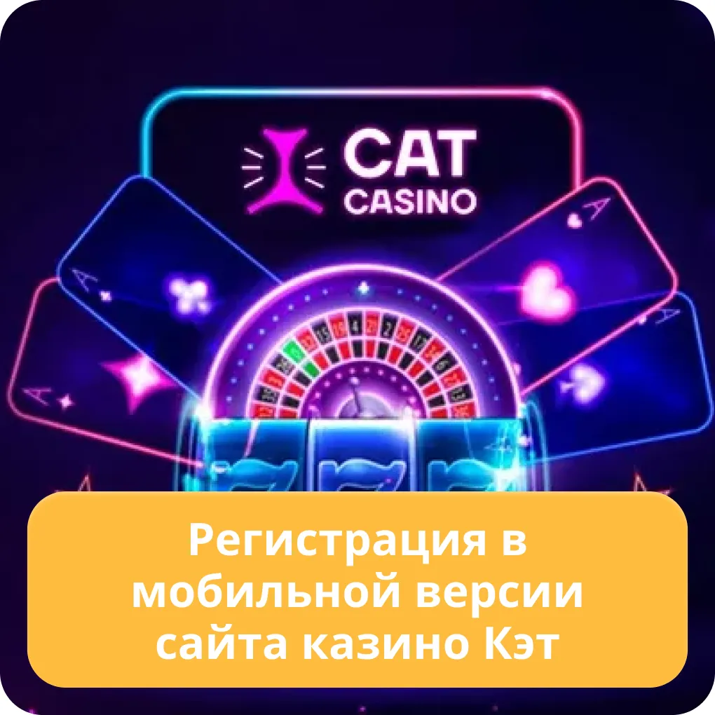 cat casino