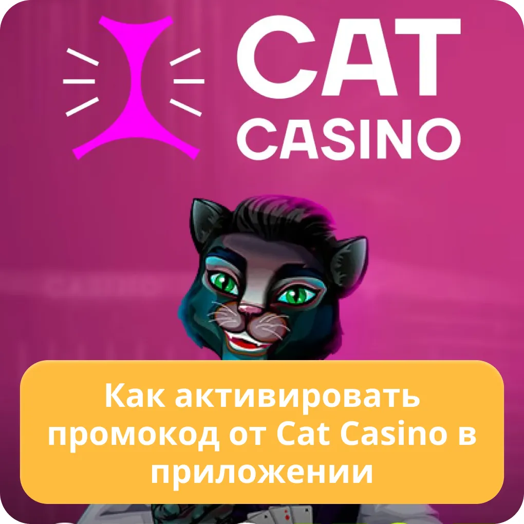 cat casino