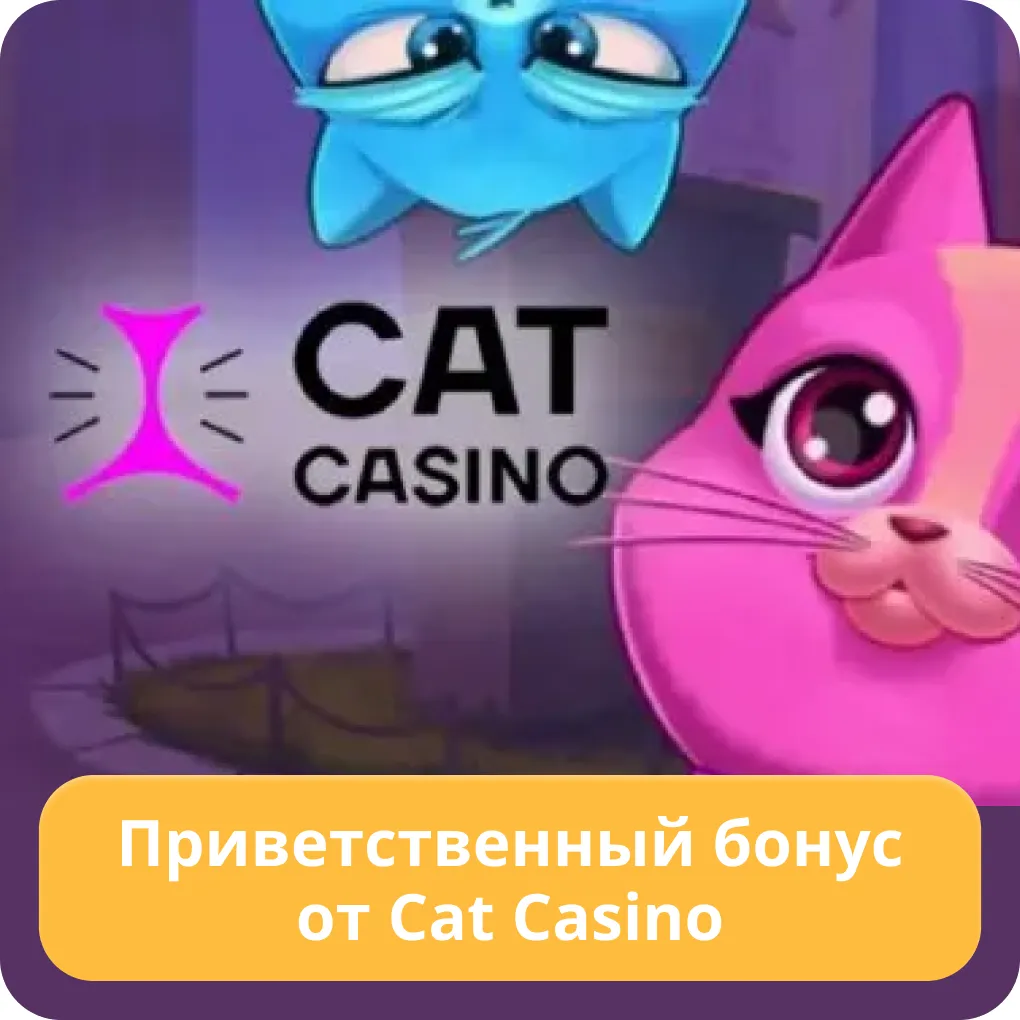 cat casino