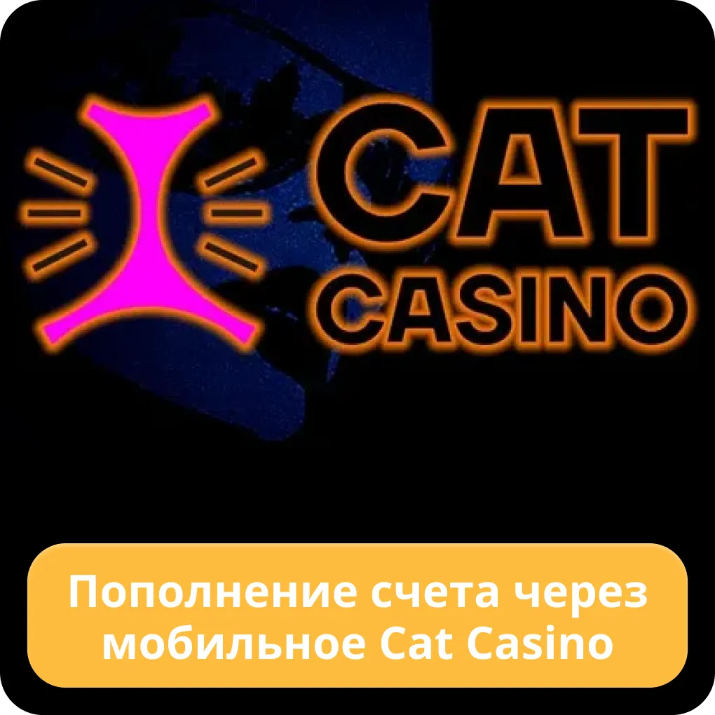 cat casino