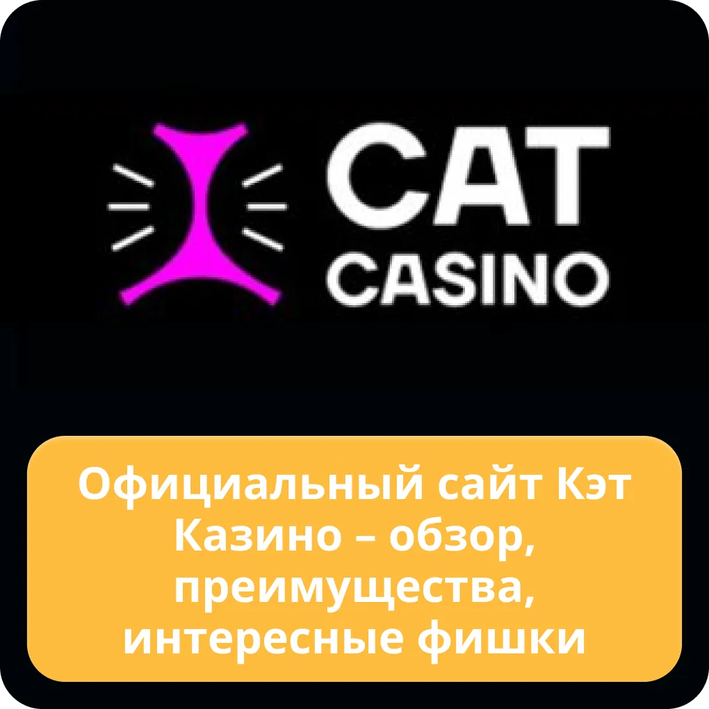 cat casino