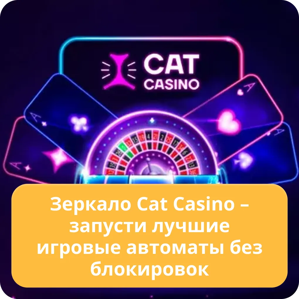 cat casino