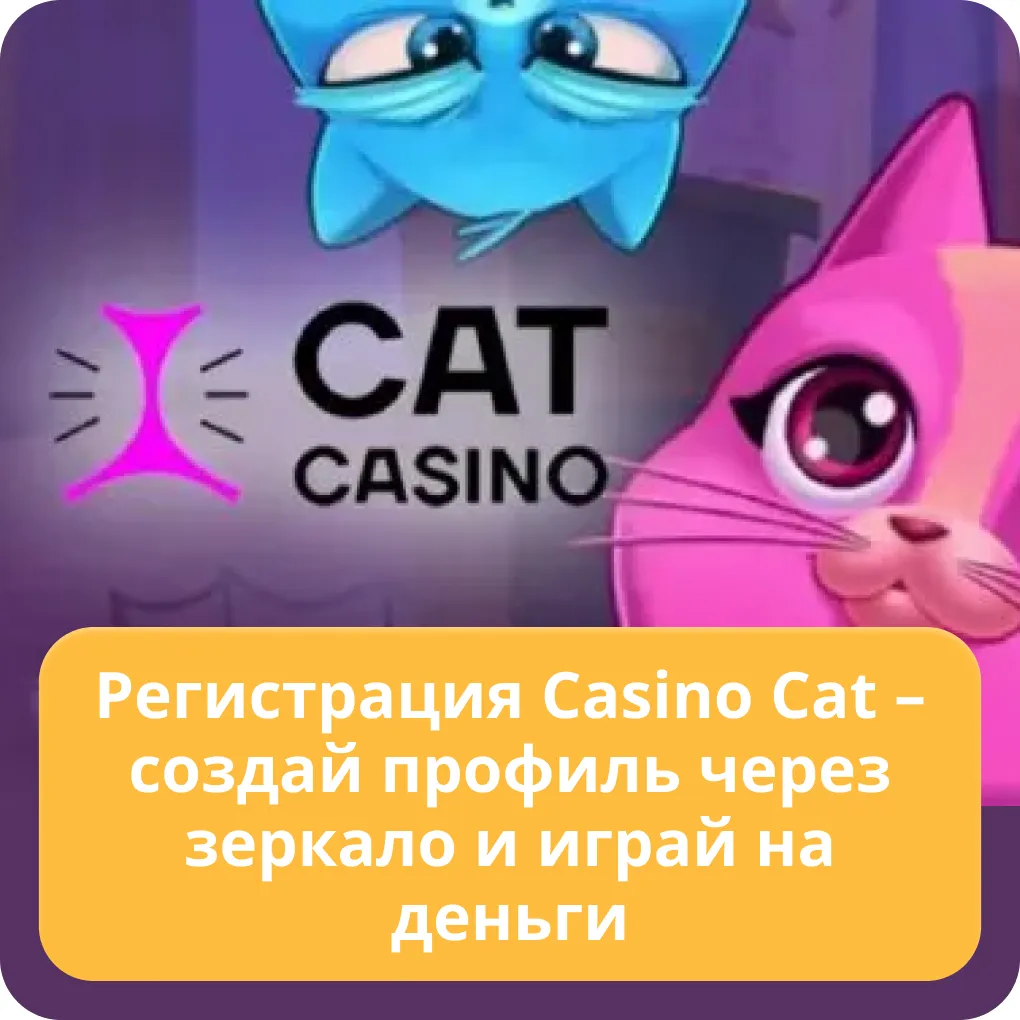 cat casino