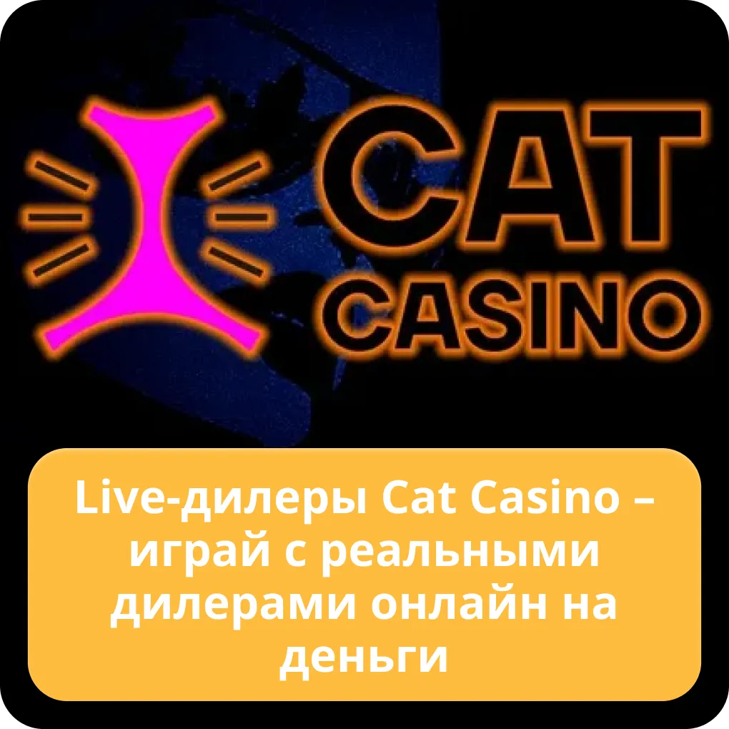 cat casino