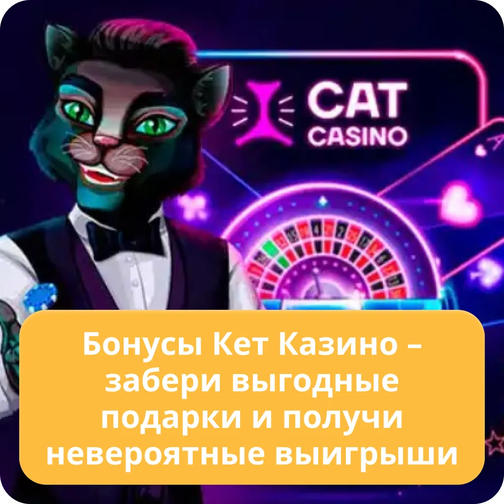 cat casino