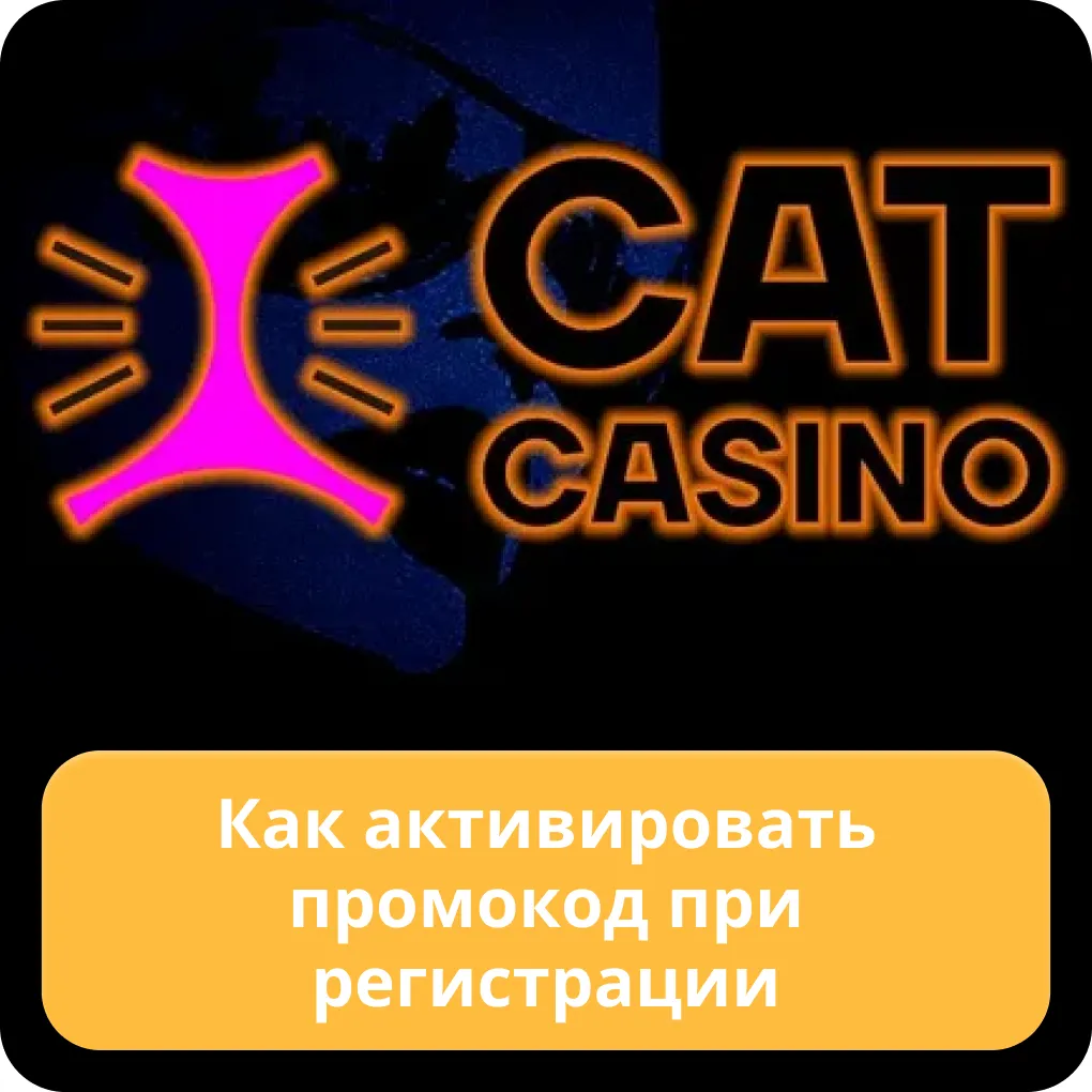 cat casino