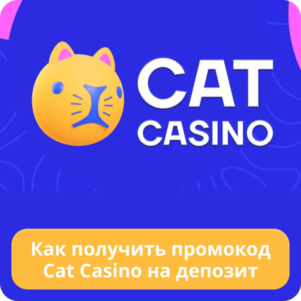 cat casino