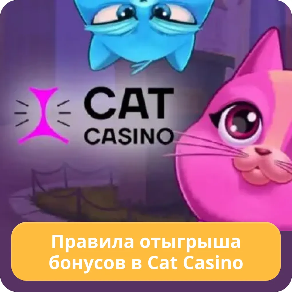 cat casino