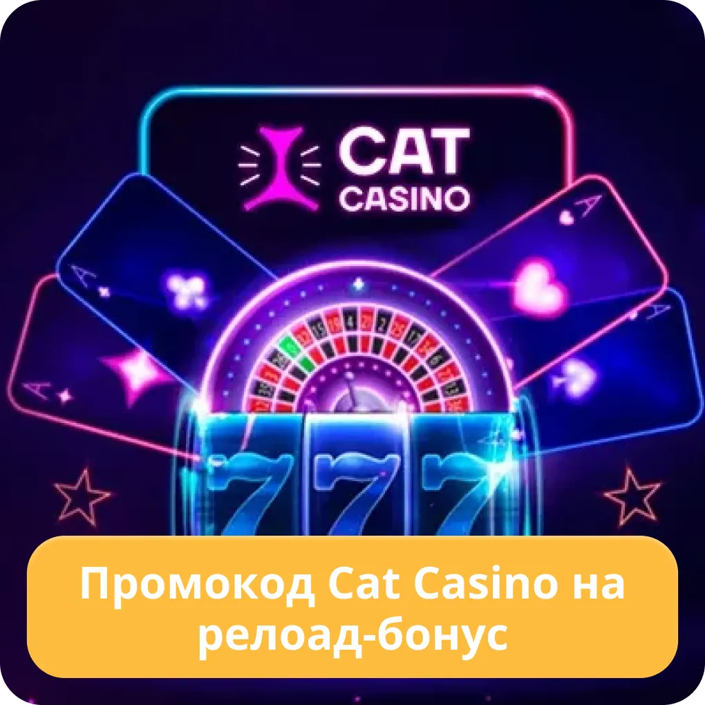 cat casino