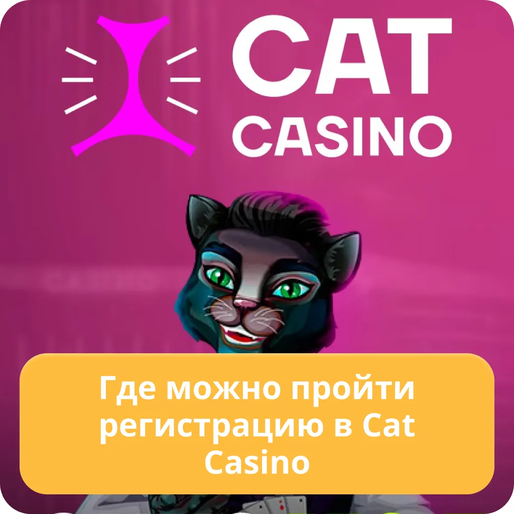 cat casino