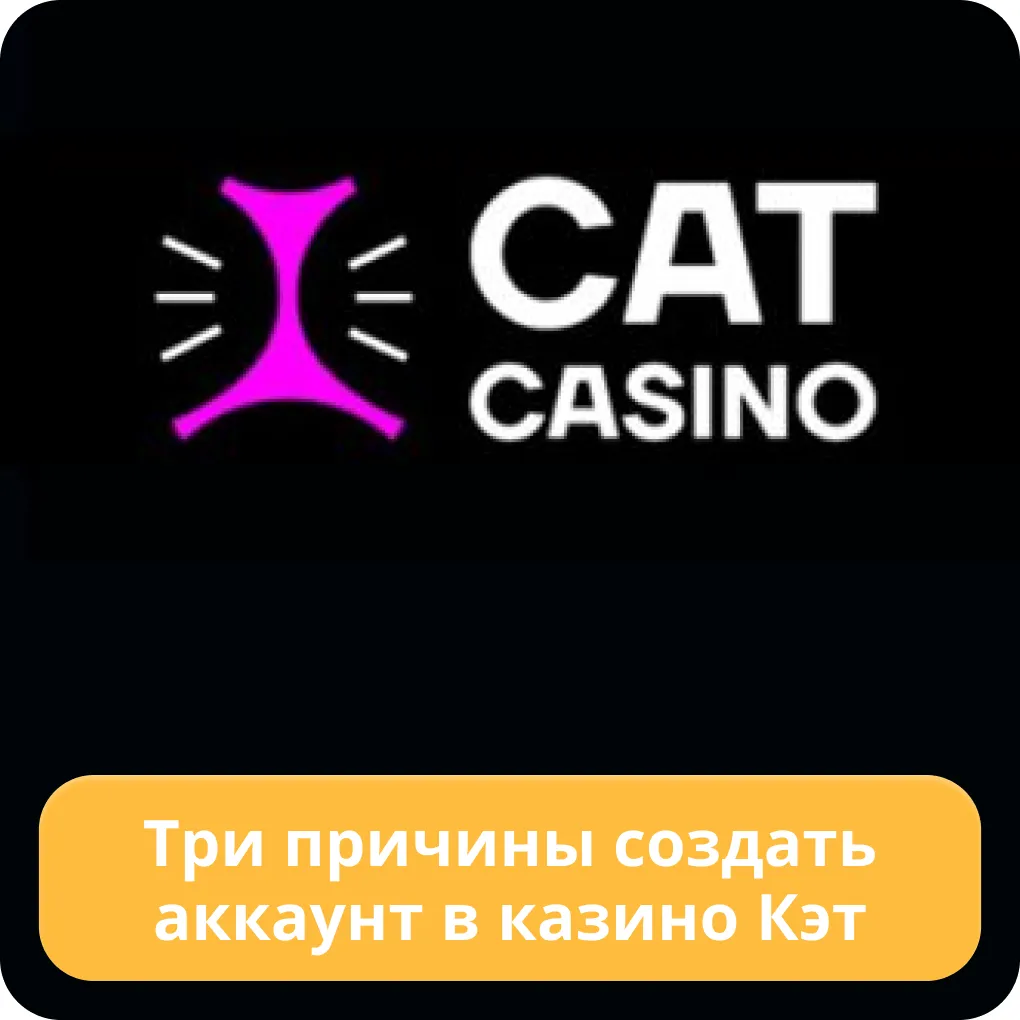 cat casino